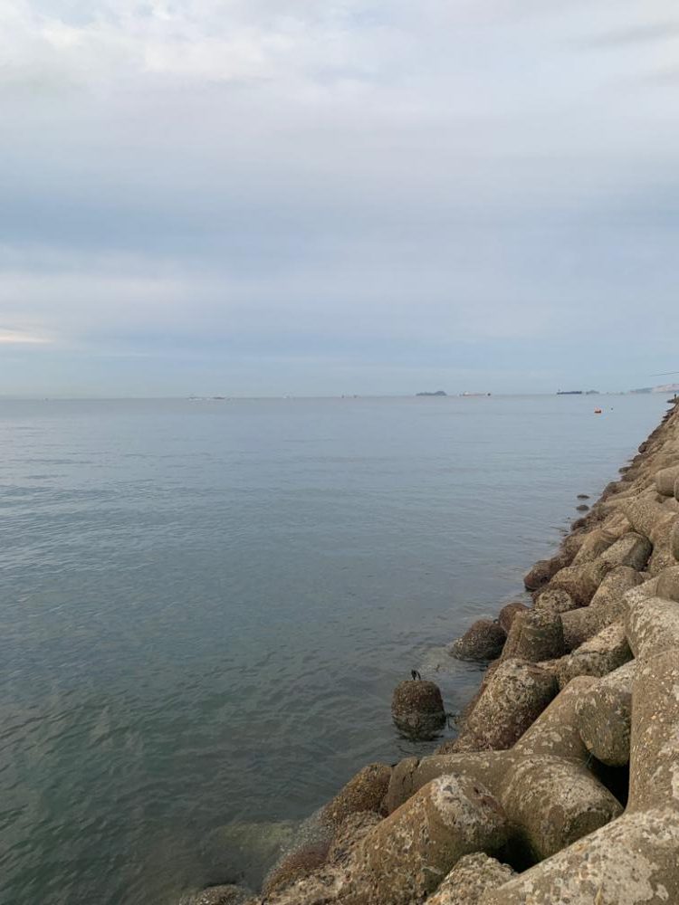 アオモノツリタイ