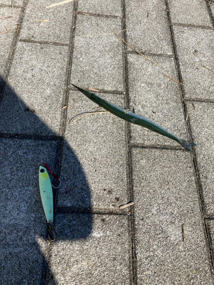 湾奥コスモ。青牙ハットトリック。。。