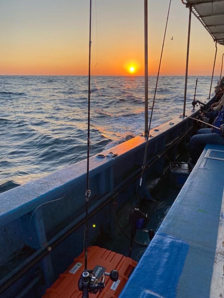 タチウオジギング