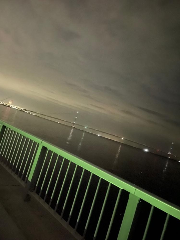 エギングでタコ