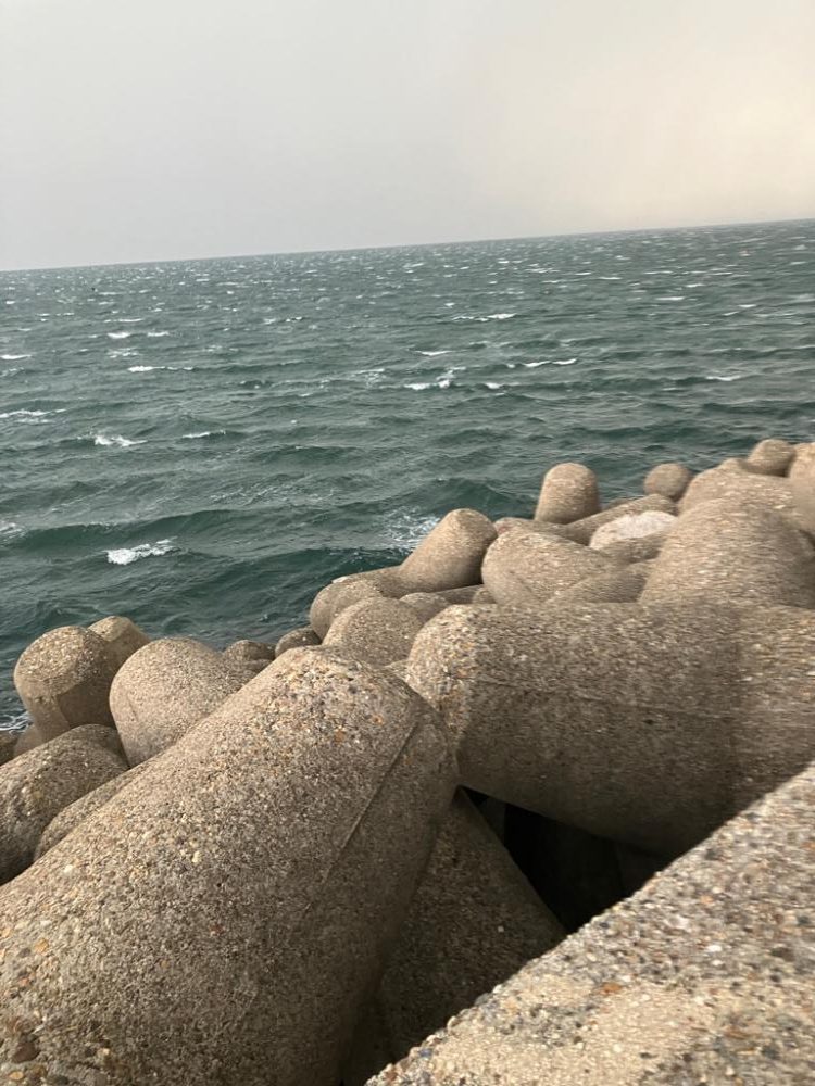 デイエギング　4投で2杯のアオリGET＼(^^)／