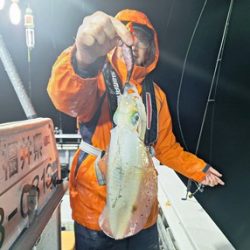 ナイトティップラン