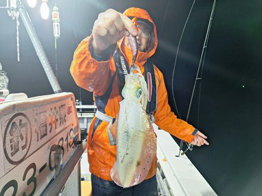 ナイトティップラン