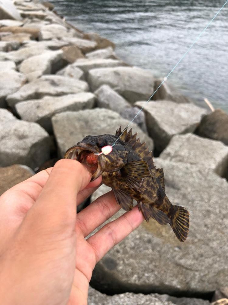 投げ釣りandチビロックゲーム