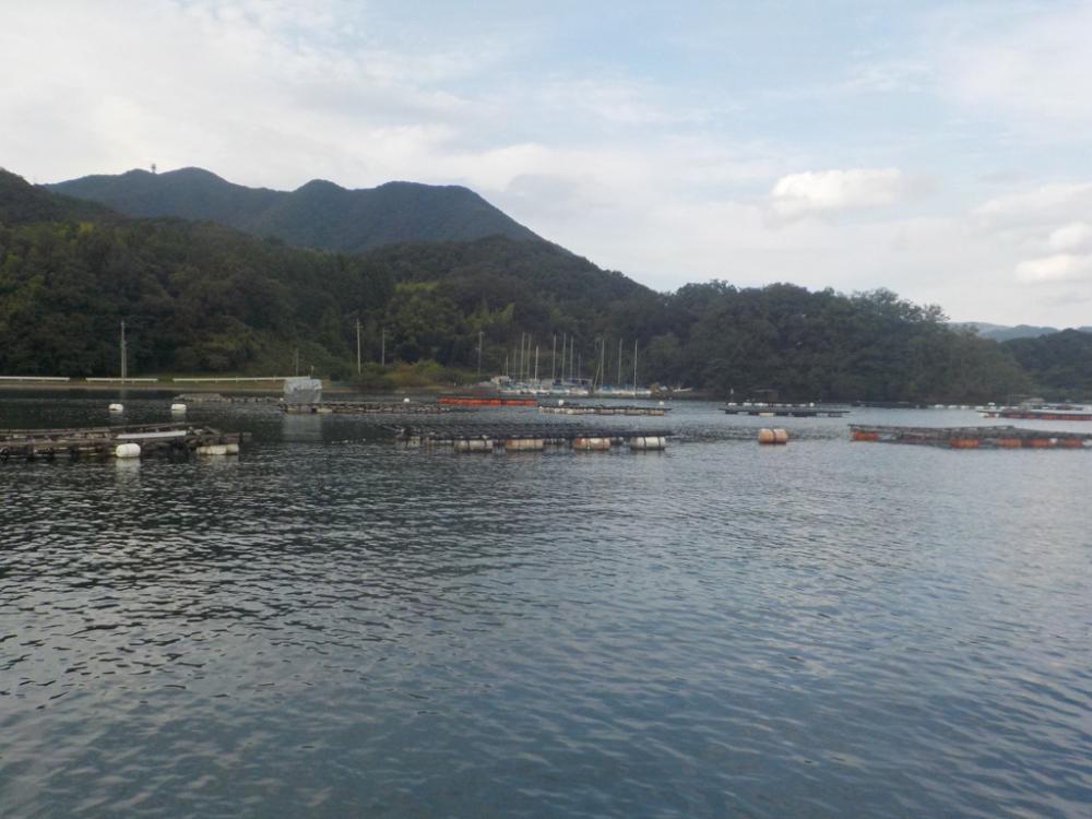 初筏かかり釣り〜舞鶴吉田たかし丸〜