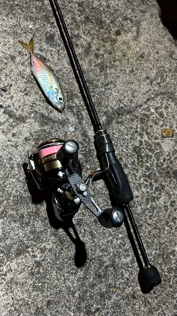 明石へアジング