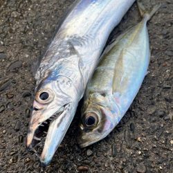 あと少しでドラゴン