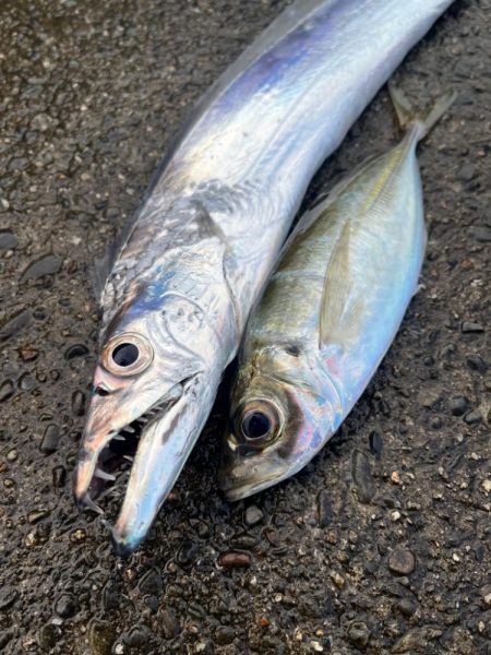 あと少しでドラゴン