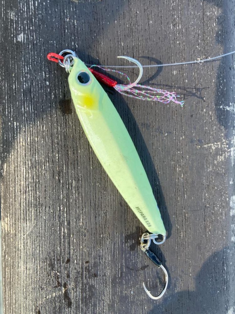 青牙サゴシ1キャッチ。2バラシ無念。。