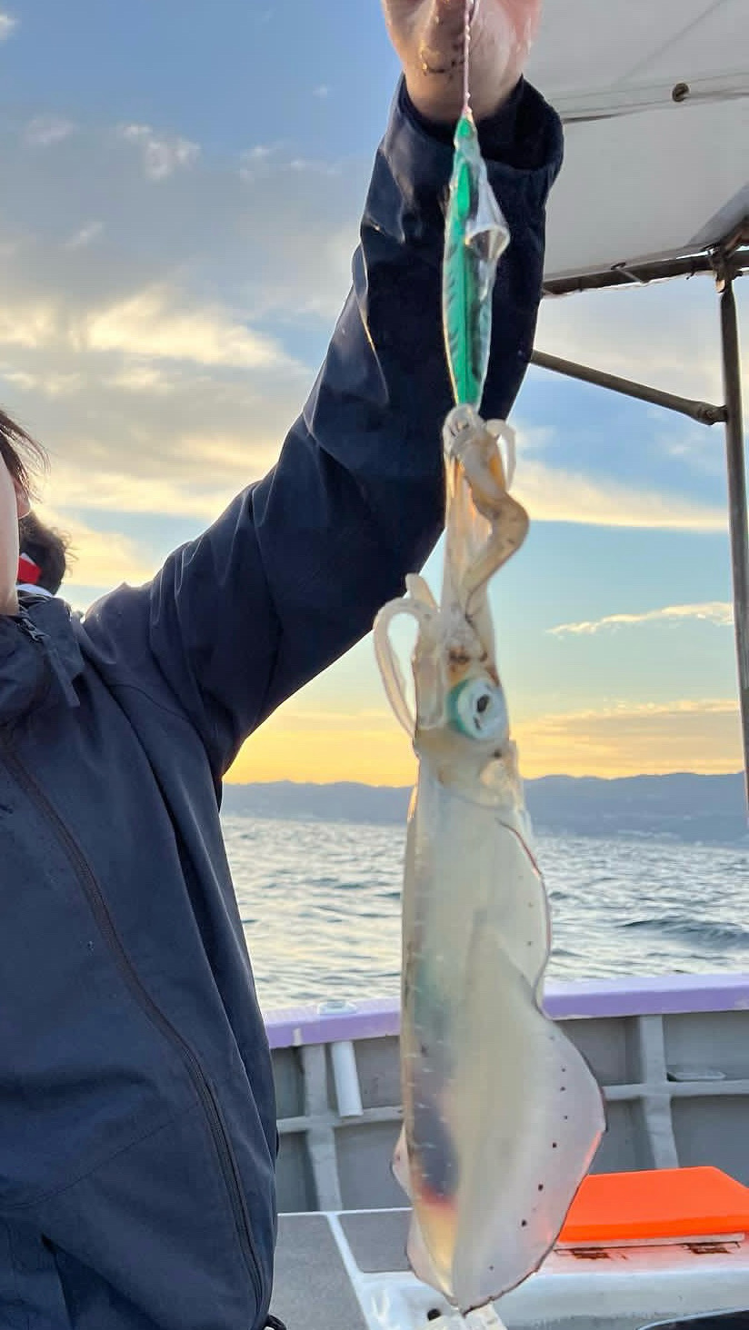 カワハギ/カワハギ仕掛け