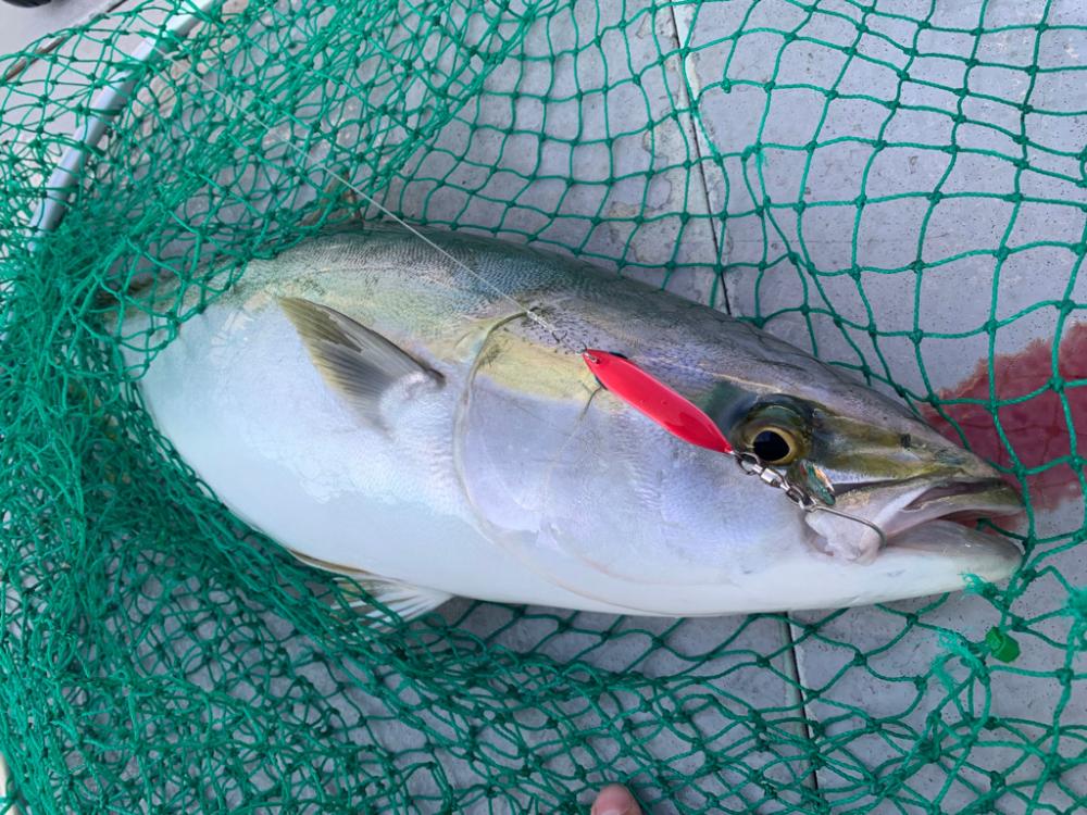 ブレードジギング