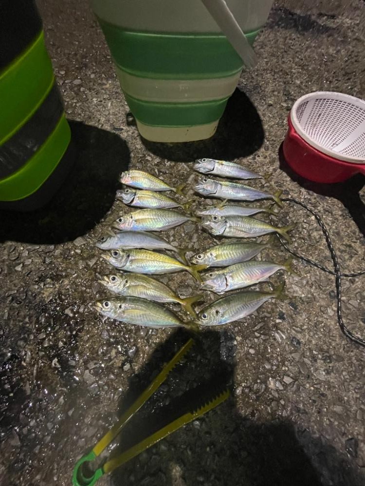 イカフック　成功🦑