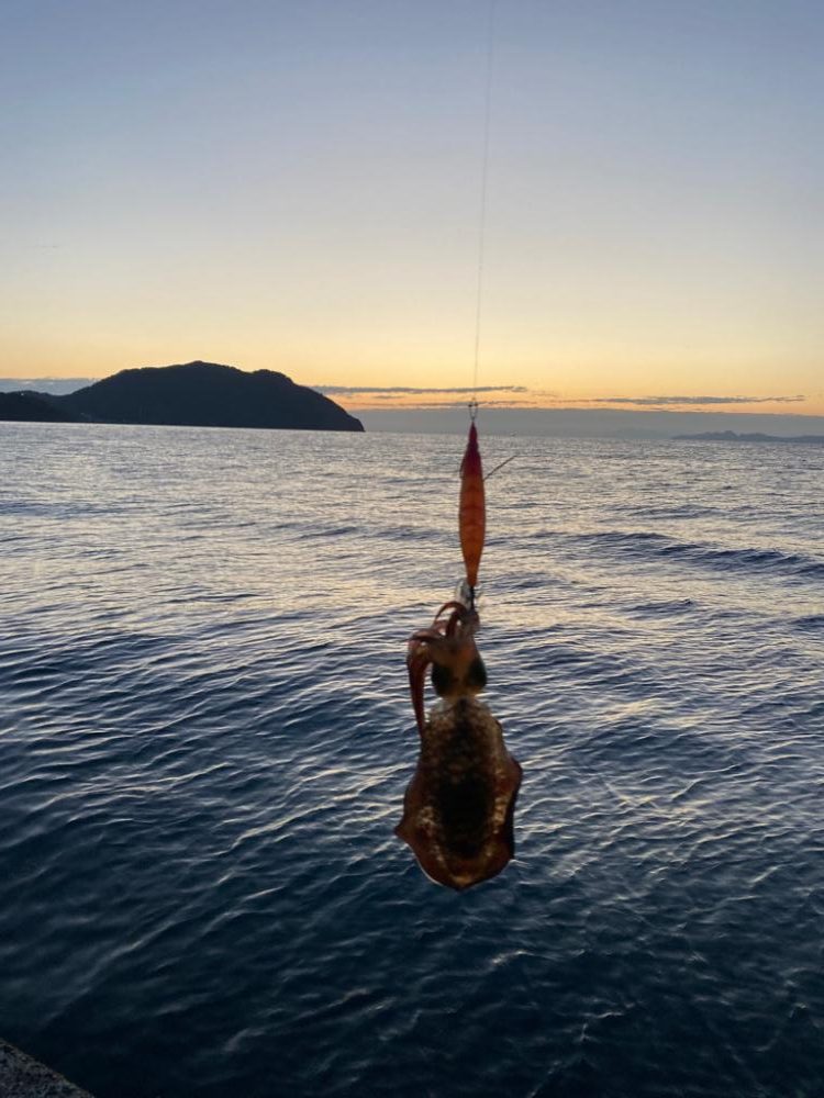 今シーズン初！