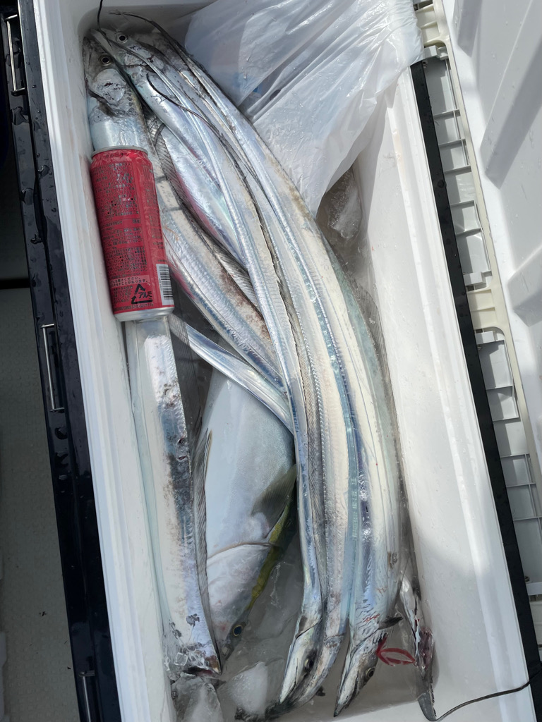 明石のジギング