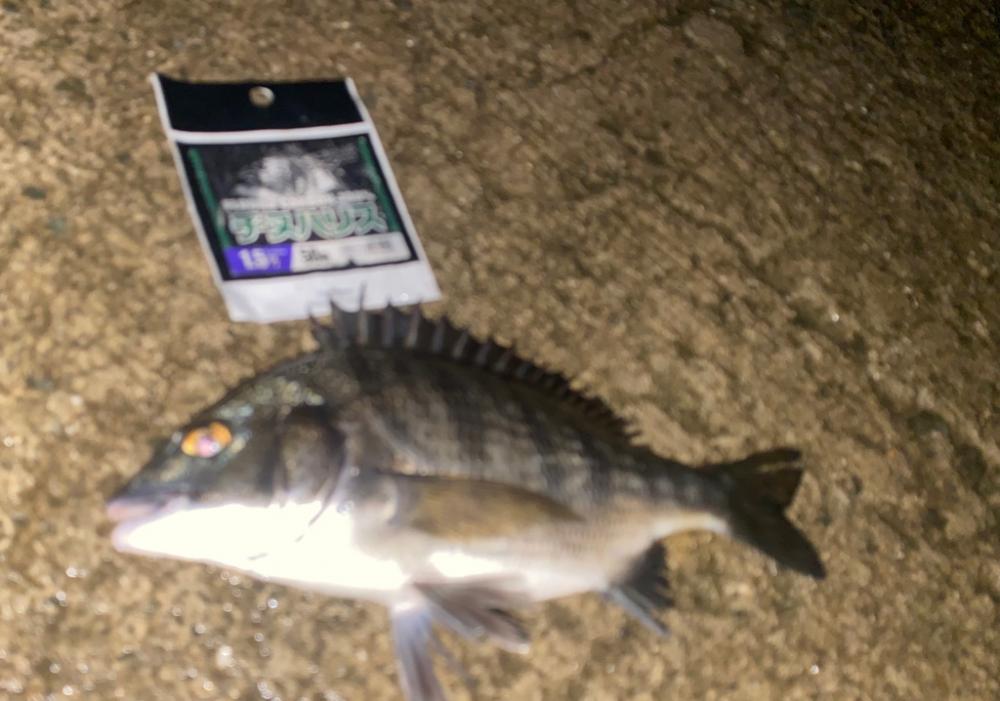 雨が降ったり止んだりの天気