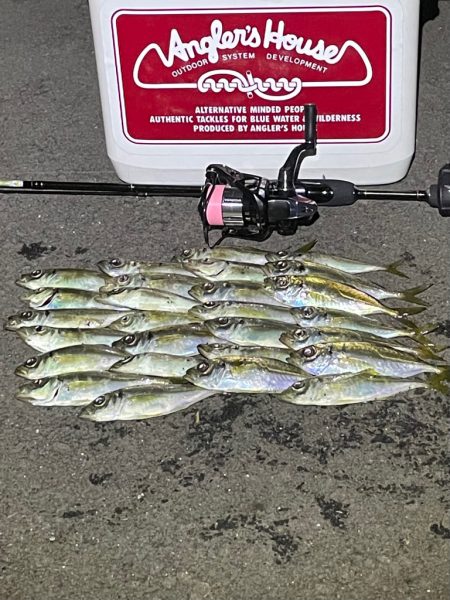 ジグ単de〜アジング♪奥深い悶絶