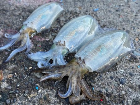 お友達と一緒に