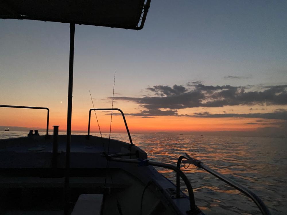 鯛andイカリレー