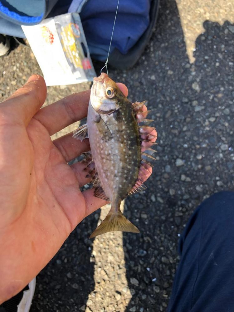 久々の名古屋港