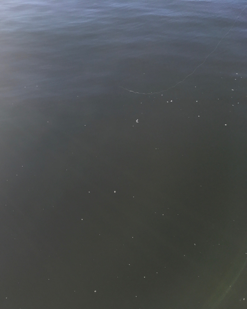 雰囲気とは裏腹に