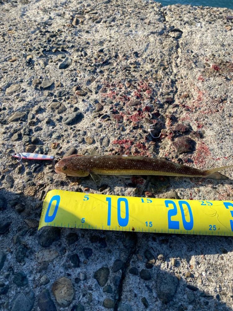 フックのメンテは必要！？