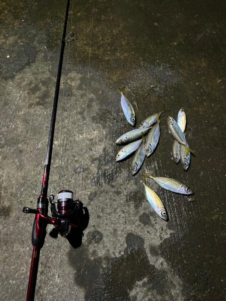 ちょっと夜アジングに