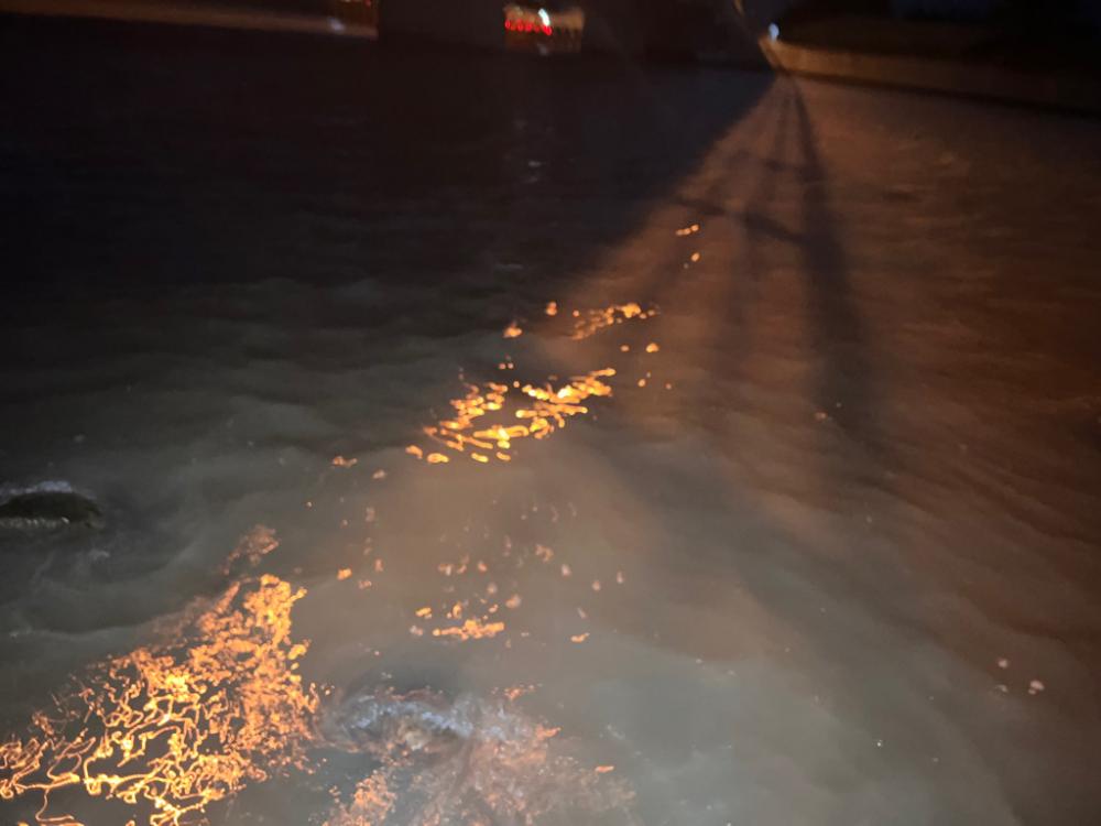 ミルクティー色の川で群れに遭遇