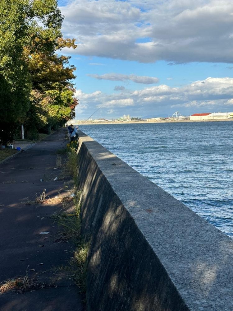 カレイ、五目釣り