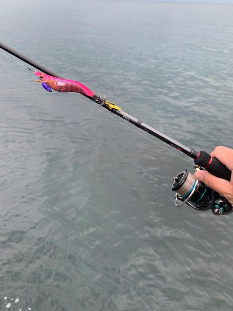 難しいパターンを攻略し切れないエギング