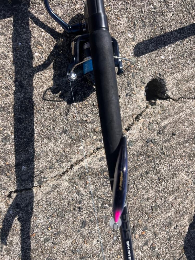 筆頭竿ガシラ!!!