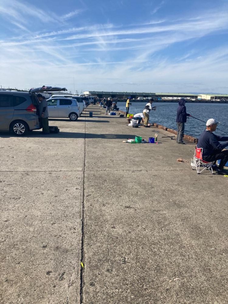 ⭐️マイワシが本命