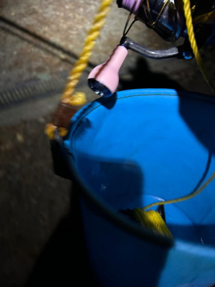 10月最初で最後のエギング