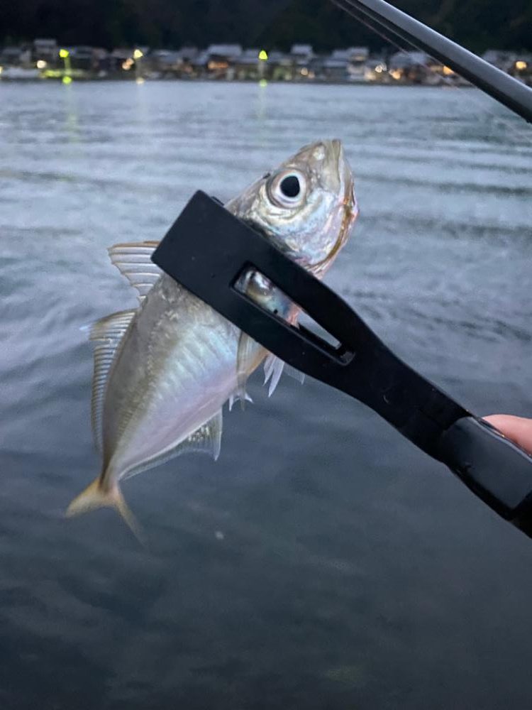 1日堤防釣行　エサ検証企画