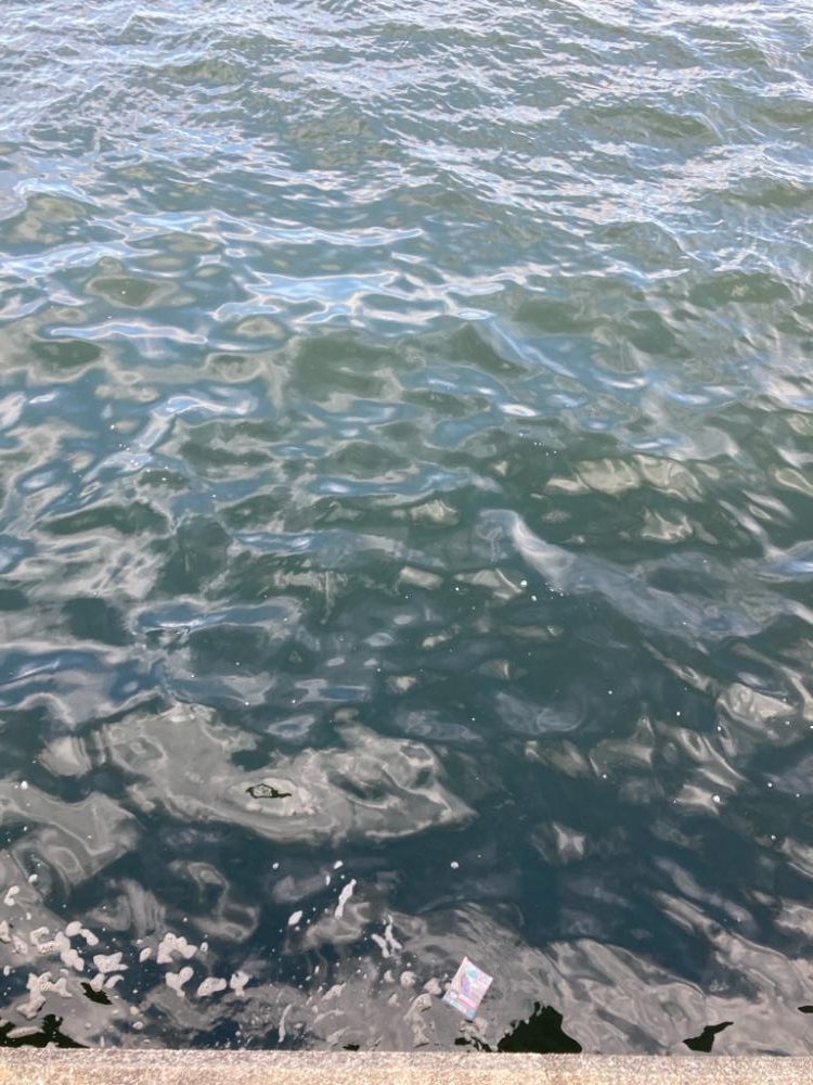 久しぶり湾奥コスモ激混み。何とか1本。。