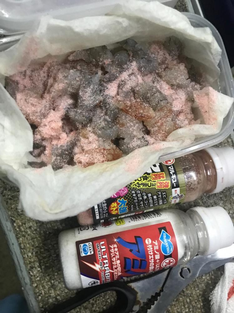 室津のカワハギとフグ