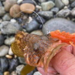 釣り方がダメなのか？