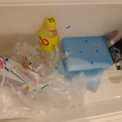 清掃活動：娘のライトジギング初挑戦（釣果は…