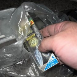 清掃活動:絶叫!と悲鳴!! 久しぶりよ~・…