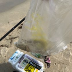 清掃活動：まだまだキスは釣れてます