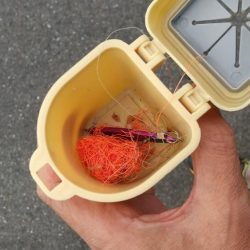 清掃活動：カワハギ釣り