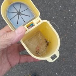 清掃活動：オチギス釣り