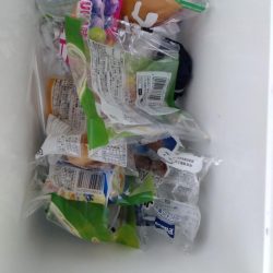 清掃活動：今季初のライトジギング！