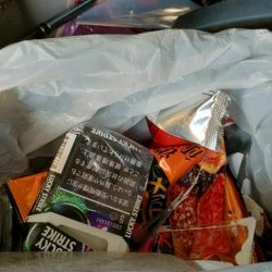 清掃活動：早朝ジギング