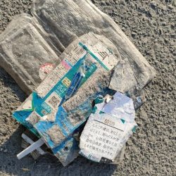 清掃活動：当たりはなし