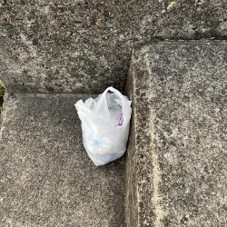 清掃活動：ウリボウだらけ〜秋後半の海〜