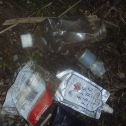 清掃活動：10月の淡水魚