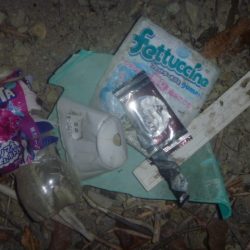 清掃活動：秋の淡水魚釣り