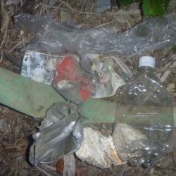 清掃活動：減水続き　その３