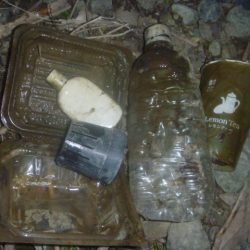 清掃活動：シャッドで淡水魚