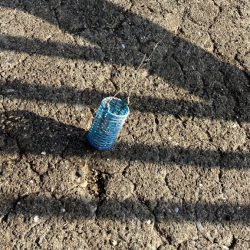 清掃活動：サバ、アジがたくさん良い釣り場